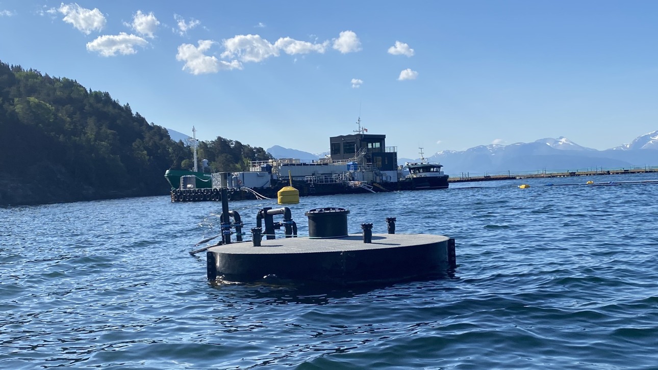 Fish sludge is collected in dedicated tanks before being sent for further processing.